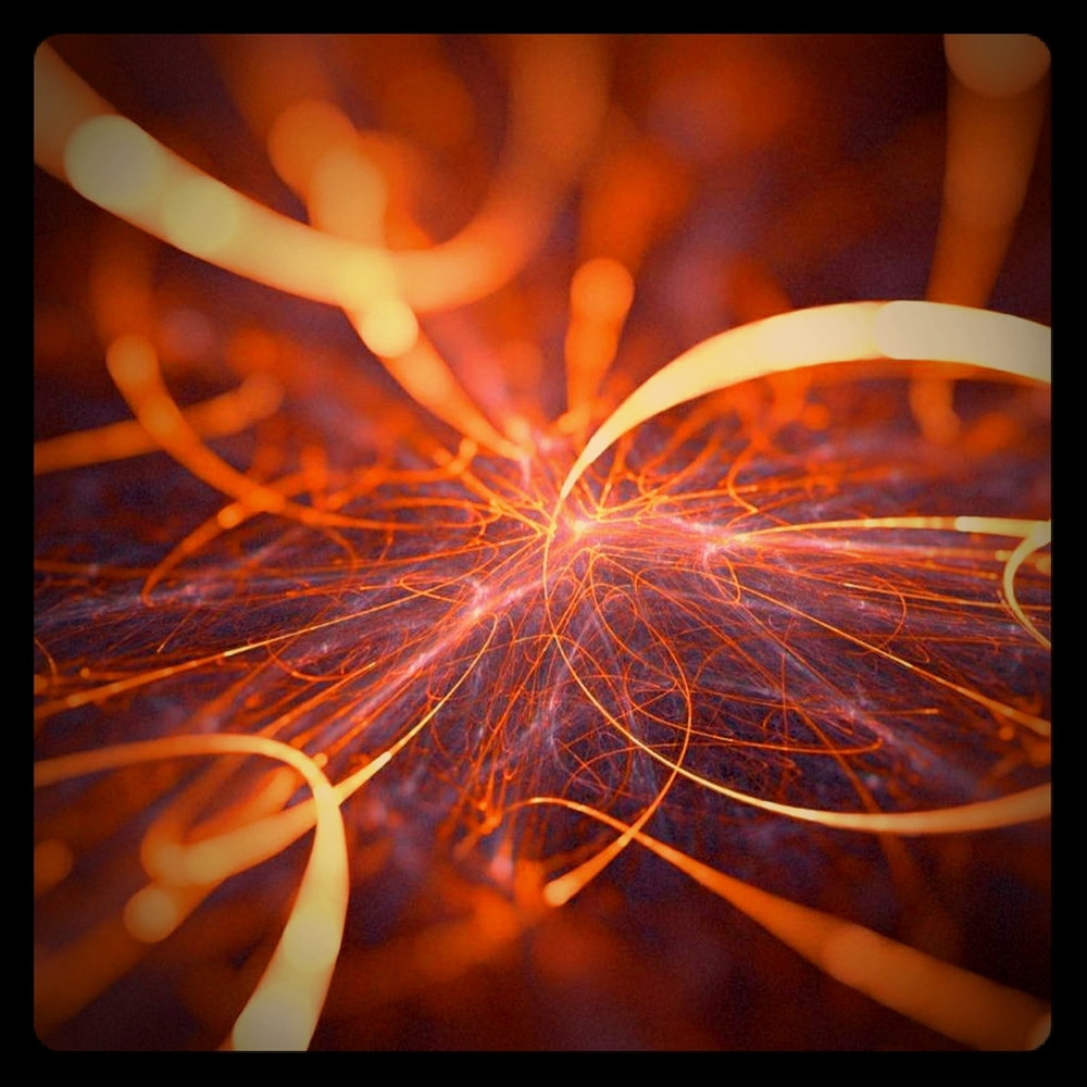 Meet your Posher, Jeremiah